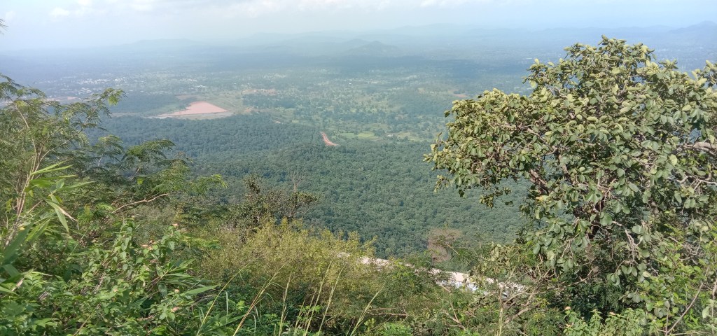 Best nature’s image&nbsp;(HD)